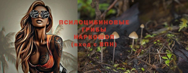 а пвп мука Инсар