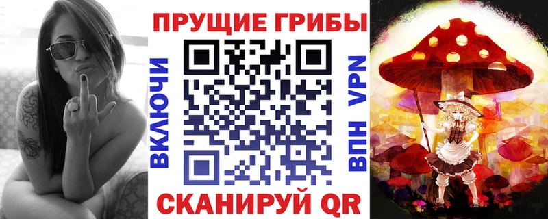 сколько стоит  Касли  Псилоцибиновые грибы Psilocybine cubensis 