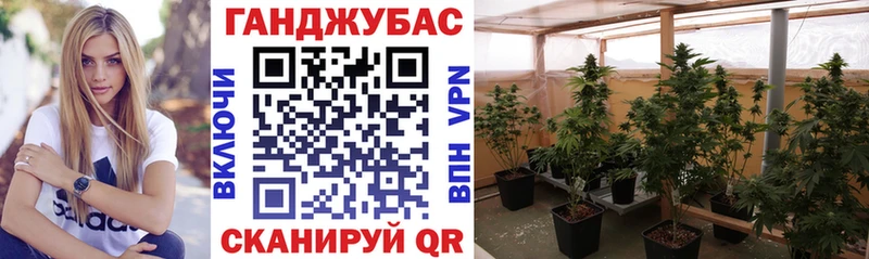 дарнет шоп  Касли  Бошки марихуана VHQ 